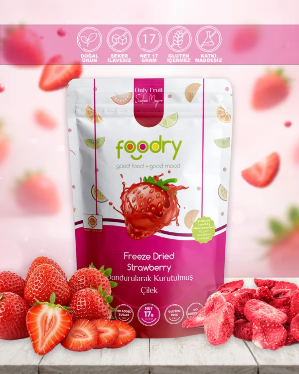 Dondurularak Kurutulmuş Çilek – Freeze Dry Çilek 17g | Katkısız Çıtır Meyve Atıştırmalığı