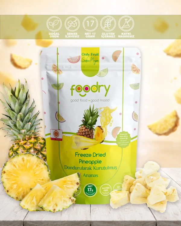 Dondurularak Kurutulmuş Ananas – Freeze Dry Ananas 17g | Katkısız Çıtır Meyve Atıştırmalığı
